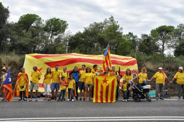 1235512_675701805774842_655010124_n