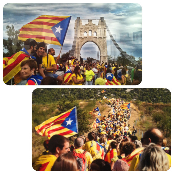 3r i premi per votació popular